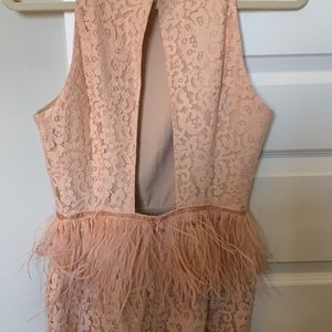 endless rose dress with feathers
